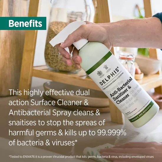 DELPHIS ECO PROFESSIONAL ANTI-BACTERIAL SANITISER & CLEANER 
