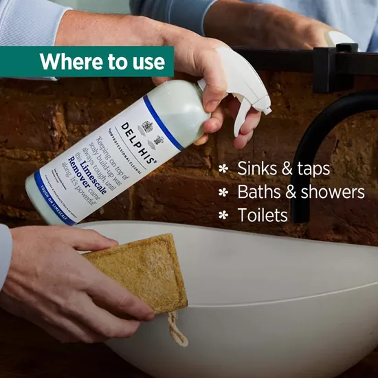 Delphis  Eco Professional Limescale Remover