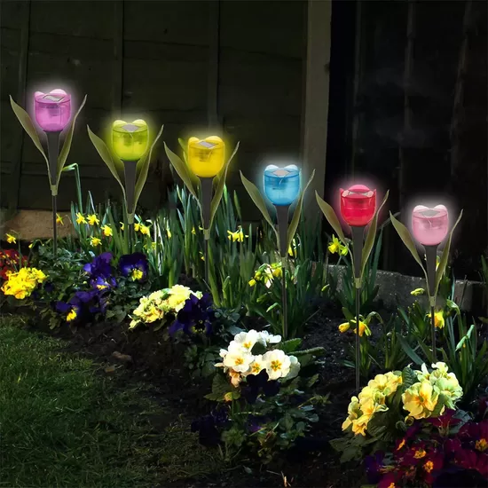 Solar Lights