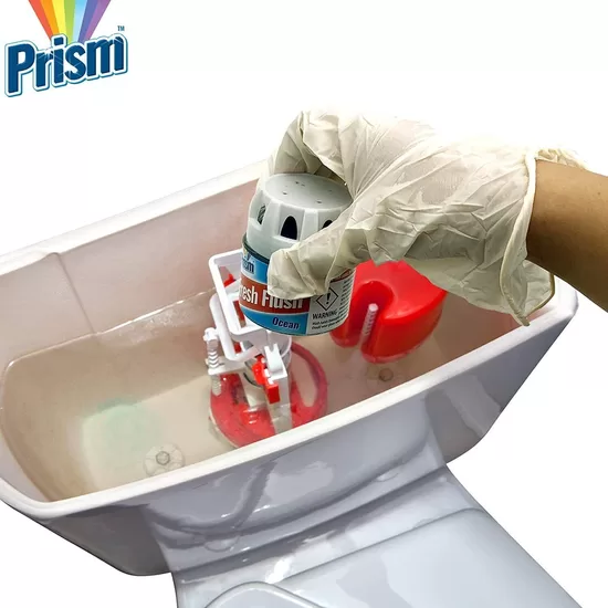 Fresh Flush In Cistern Toilet Block