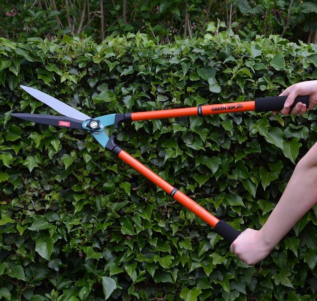 Telescopic Garden Shears