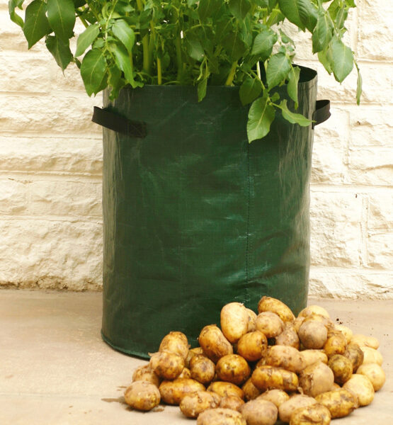 Potato Planter With Handles (MULTI BUY OFFER AVAILABLE)