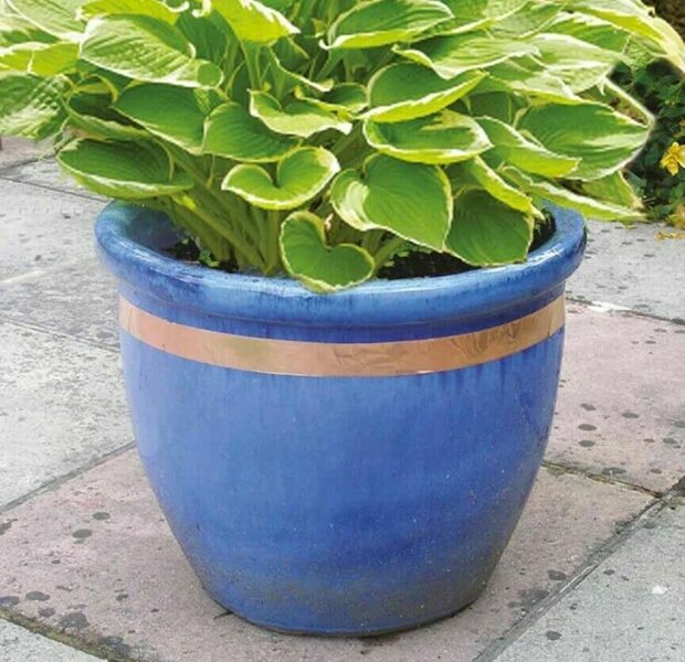 Slug Repellent Tape