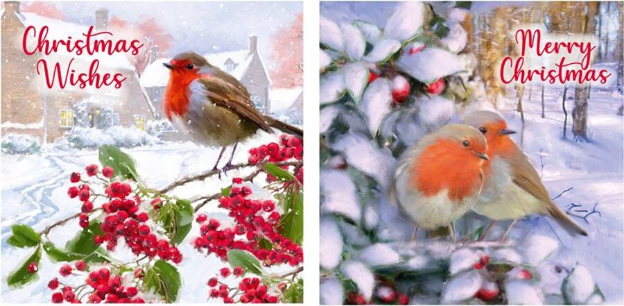 12 Robin Christmas Cards